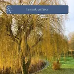 Grand Le Saule En Scie - 3 Etoiles - Chauffe, 12 A 14 Pers, Jardin Clos, 30 Mn Puydufou Holiday home Nueil-sous-les-Aubiers