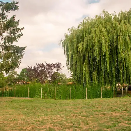 Grand Le Saule En Scie - 3 Etoiles - Chauffe, 12 A 14 Pers, Jardin Clos, 30 Mn Puydufou Σπίτι διακοπών