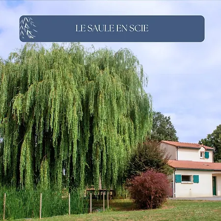 Grand Le Saule En Scie - 3 étoiles - Spa, 6 à 14 Pers, Jardin Clos, 30 Mn Puydufou Casa vacanze