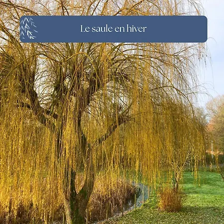 Grand Le Saule En Scie - 3 étoiles - Spa, 6 à 14 Pers, Jardin Clos, 30 Mn Puydufou Casa vacanze Nueil-sous-les-Aubiers