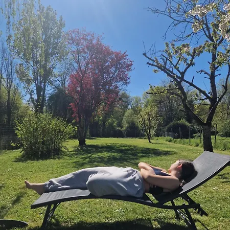 Grand Le Saule En Scie - 3 étoiles - Spa, 6 à 14 Pers, Jardin Clos, 30 Mn Puydufou * Nueil-sous-les-Aubiers
