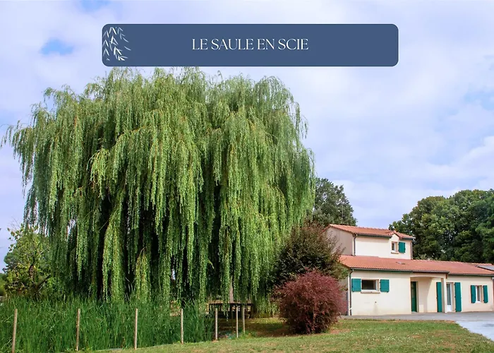 Grand Le Saule En Scie - 3 étoiles - Chauffé, 12 à 14 Pers, Jardin Clos, 30 Mn Puydufou Сasa de vacaciones