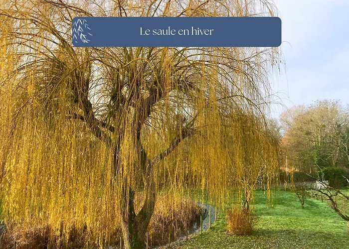 Grand Le Saule En Scie - 3 étoiles - Chauffé, 12 à 14 Pers, Jardin Clos, 30 Mn Puydufou Сasa de vacaciones Nueil-sous-les-Aubiers
