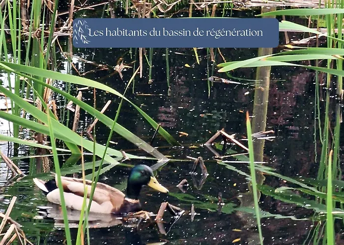 Grand Le Saule En Scie - 3 étoiles - Chauffé, 12 à 14 Pers, Jardin Clos, 30 Mn Puydufou *